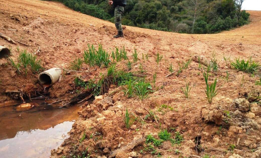 Em oito dias de ações, o Batalhão de Polícia Ambiental-Força Verde (BPAmb-FV) lavrou 26 autos de infração ambiental e aplicou mais de R$ 2,5 milhões em multas por desmatamento de florestas em todo o estado pela quarta edição da Operação Mata Atlântica em Pé. O trabalho é feito em conjunto com o Instituto Água e Terra (IAT), o Ibama e o Ministério Público do Paraná. Foto:SESP