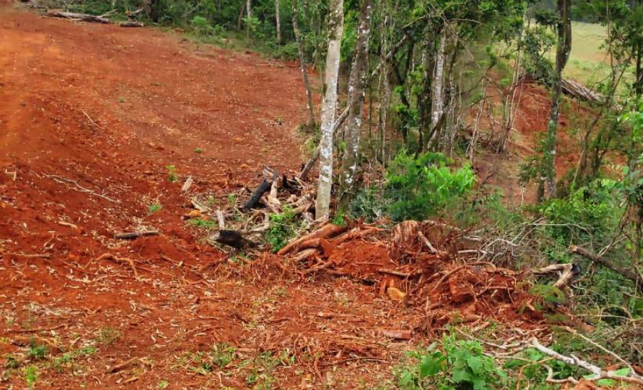 Em oito dias de ações, o Batalhão de Polícia Ambiental-Força Verde (BPAmb-FV) lavrou 26 autos de infração ambiental e aplicou mais de R$ 2,5 milhões em multas por desmatamento de florestas em todo o estado pela quarta edição da Operação Mata Atlântica em Pé. O trabalho é feito em conjunto com o Instituto Água e Terra (IAT), o Ibama e o Ministério Público do Paraná. Foto:SESP
