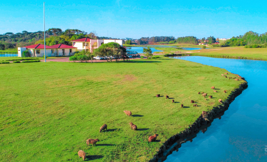 Empresas de cal e calcário geram cerca de 3 mil empregos diretos. Foto: Germano/Calpar.