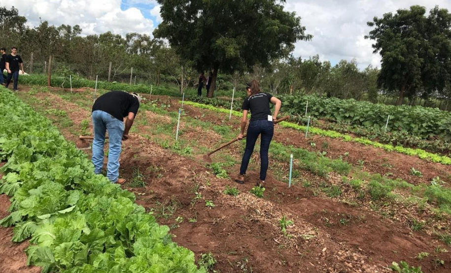 Colégios agrícolas superam desafios ainda maiores com ensino remoto. Foto:SEED