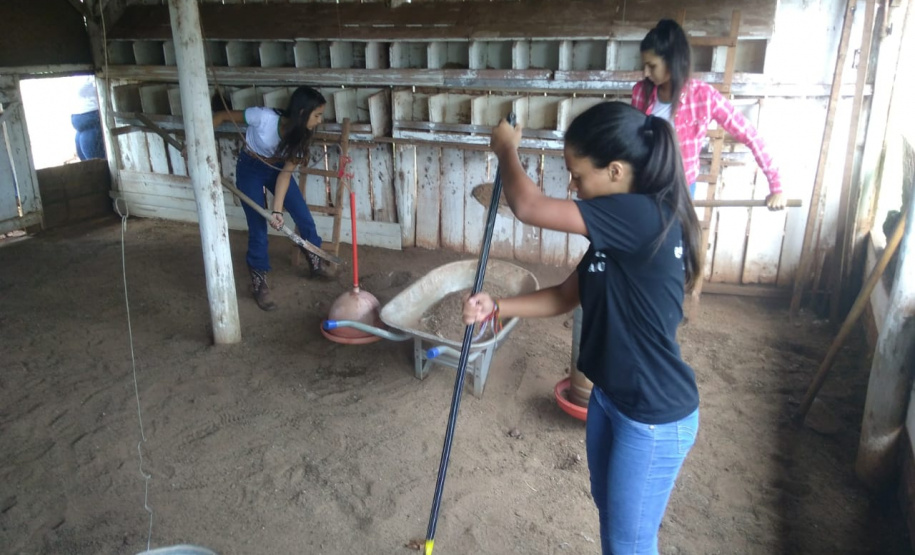 Colégios agrícolas superam desafios ainda maiores com ensino remoto. Foto:SEED