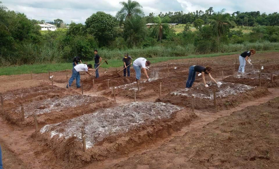 Colégios agrícolas superam desafios ainda maiores com ensino remoto. Foto:SEED