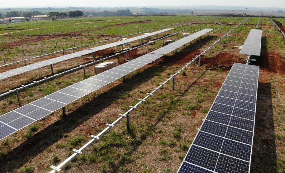 Usina solar da Copel recebe módulos fotovoltaicos. Foto: Copel