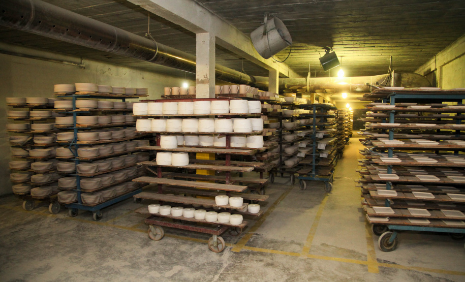 Porcelanas Germer. Criada em 1978, a fábrica emprega cerca de 500 pessoas e produz em média um milhão de peças por mês.Feito no Paraná. Foto: Ari Dias/AEN.