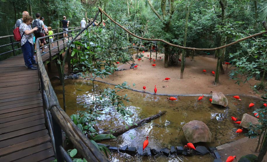 Pesquisa quer saber sobre as intenções de viagens dos turistas. Foto:José Fernando Ogura/AEN