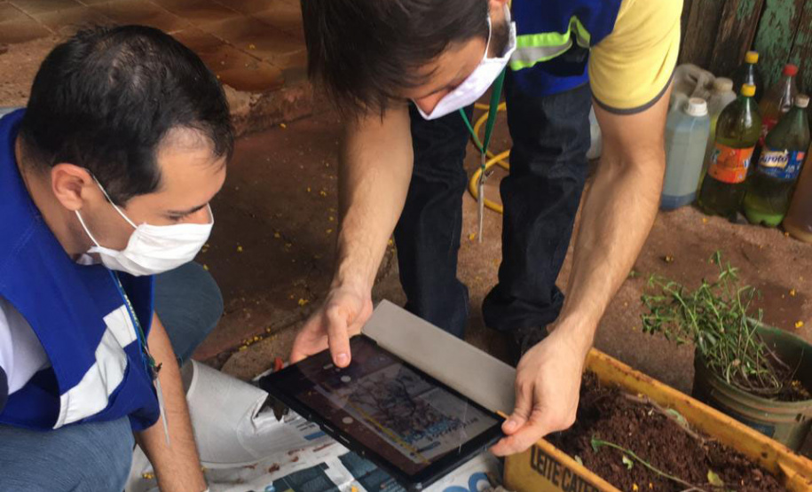 Adapar monitora caso
das sementes importadas. Foto:Adapar