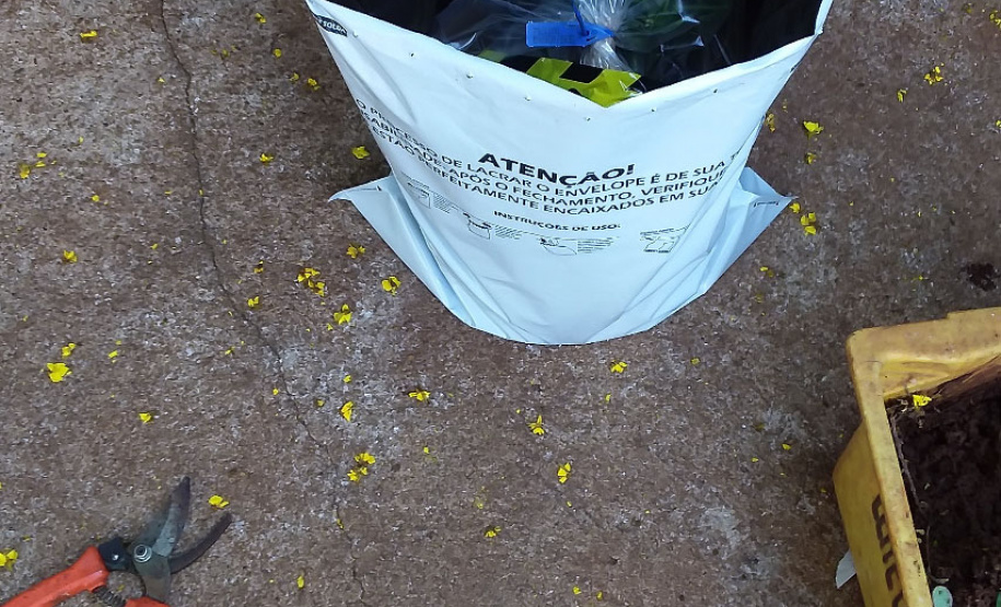 Adapar monitora caso
das sementes importadas. Foto:Adapar