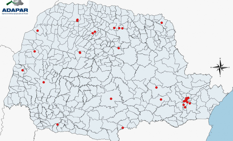 Adapar monitora caso
das sementes importadas. Foto:Adapar