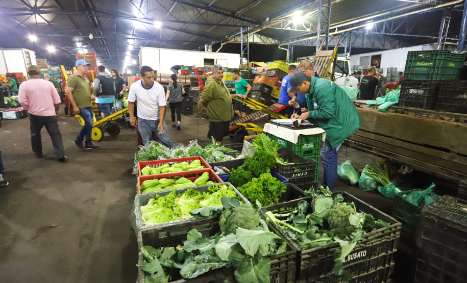 As Ceasas de Londrina e Maringá estarão abertas na próxima segunda-feira, dia 12 de outubro, feriado nacional em homenagem a Nossa Senhora Aparecida, padroeira do Brasil As Ceasas de Curitiba, Cascavel e Foz do Iguaçu fecham suas unidades nessa data. Foto: Arnaldo Alves/Arquivo AEN