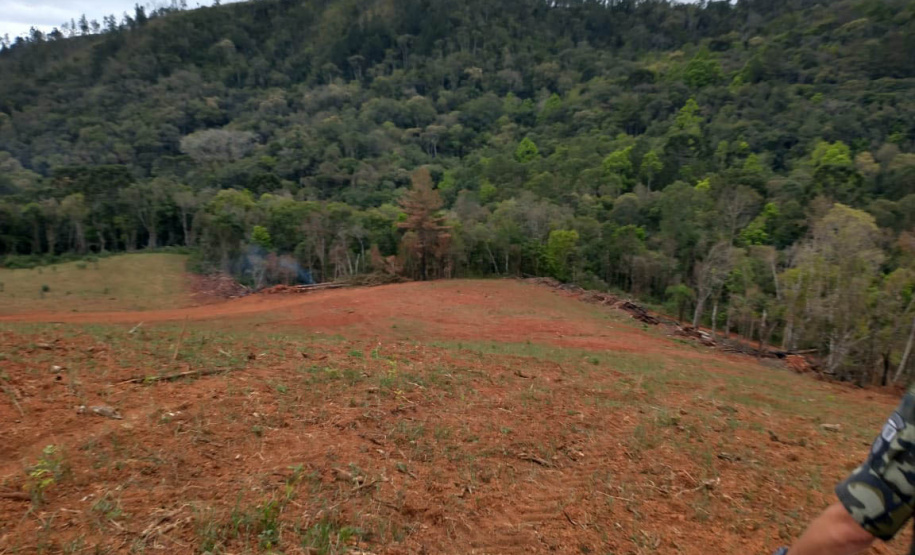 A quarta edição da Operação Mata Atlântica em Pé, organizada pelo Ministério Público, com apoio do Batalhão de Polícia Ambiental Força-Verde (BPAmb-FV), do Instituto Água e Terra (IAT) e do Ibama, foi encerrada após 14 dias de ações em todo o Paraná. Foto:SESP