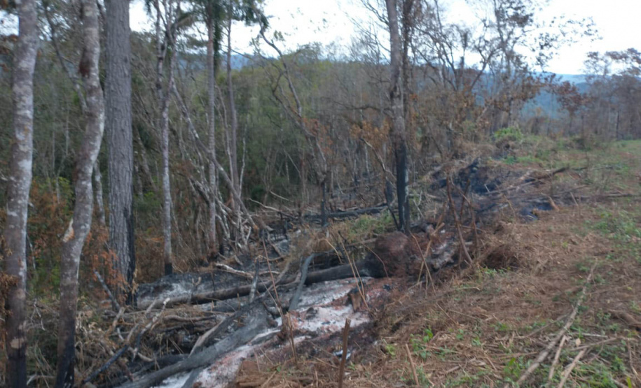 A quarta edição da Operação Mata Atlântica em Pé, organizada pelo Ministério Público, com apoio do Batalhão de Polícia Ambiental Força-Verde (BPAmb-FV), do Instituto Água e Terra (IAT) e do Ibama, foi encerrada após 14 dias de ações em todo o Paraná. Foto:SESP