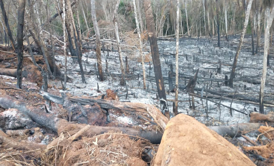 A quarta edição da Operação Mata Atlântica em Pé, organizada pelo Ministério Público, com apoio do Batalhão de Polícia Ambiental Força-Verde (BPAmb-FV), do Instituto Água e Terra (IAT) e do Ibama, foi encerrada após 14 dias de ações em todo o Paraná. Foto:SESP