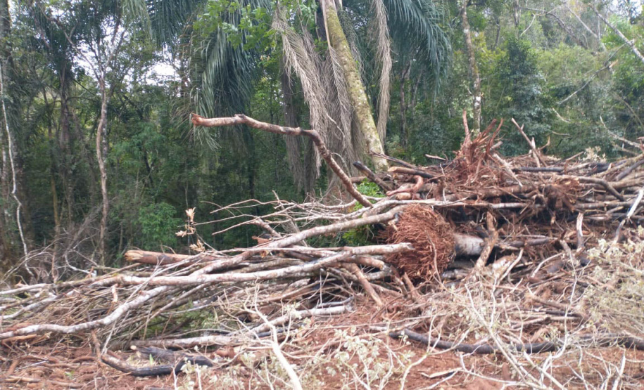 A quarta edição da Operação Mata Atlântica em Pé, organizada pelo Ministério Público, com apoio do Batalhão de Polícia Ambiental Força-Verde (BPAmb-FV), do Instituto Água e Terra (IAT) e do Ibama, foi encerrada após 14 dias de ações em todo o Paraná. Foto:SESP