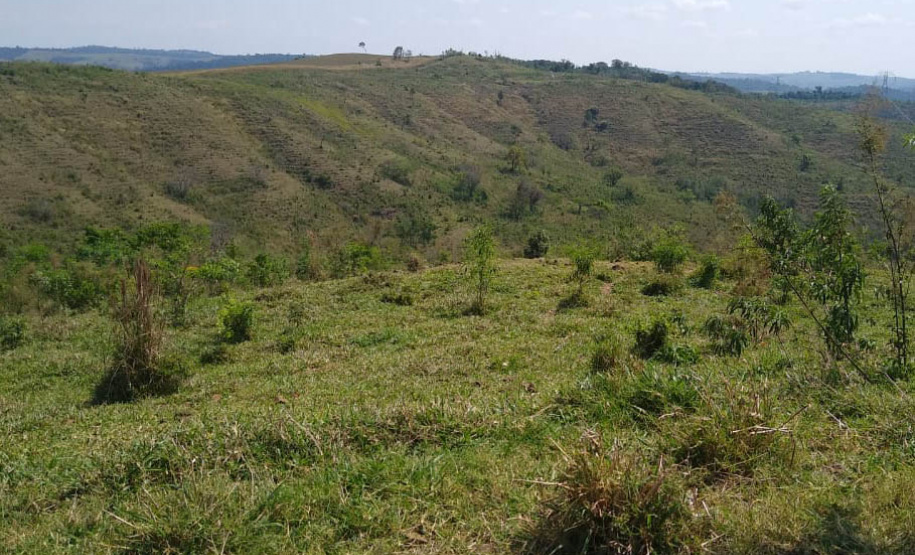 A quarta edição da Operação Mata Atlântica em Pé, organizada pelo Ministério Público, com apoio do Batalhão de Polícia Ambiental Força-Verde (BPAmb-FV), do Instituto Água e Terra (IAT) e do Ibama, foi encerrada após 14 dias de ações em todo o Paraná. Foto:SESP