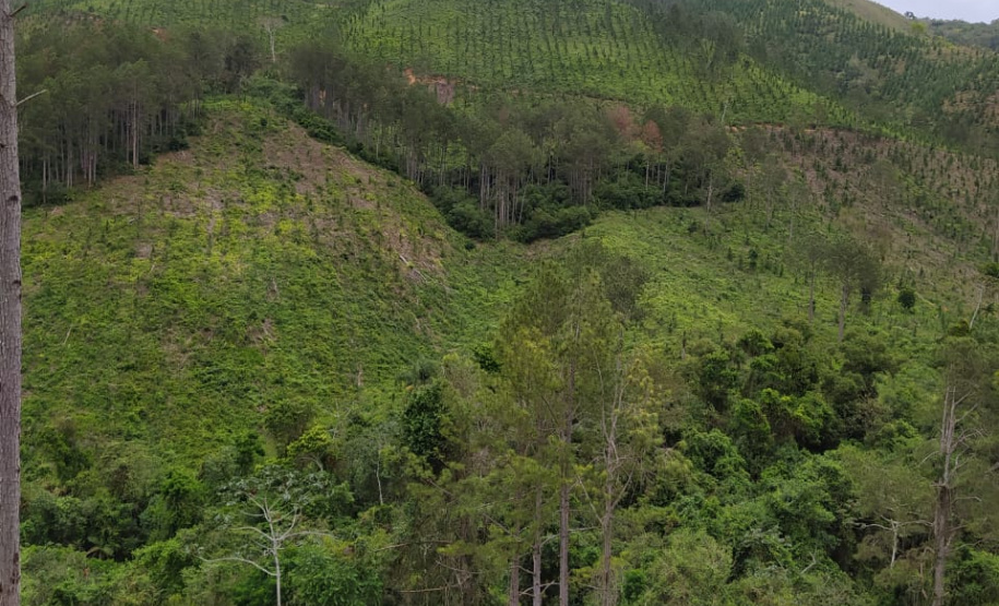 A quarta edição da Operação Mata Atlântica em Pé, organizada pelo Ministério Público, com apoio do Batalhão de Polícia Ambiental Força-Verde (BPAmb-FV), do Instituto Água e Terra (IAT) e do Ibama, foi encerrada após 14 dias de ações em todo o Paraná. Foto:SESP