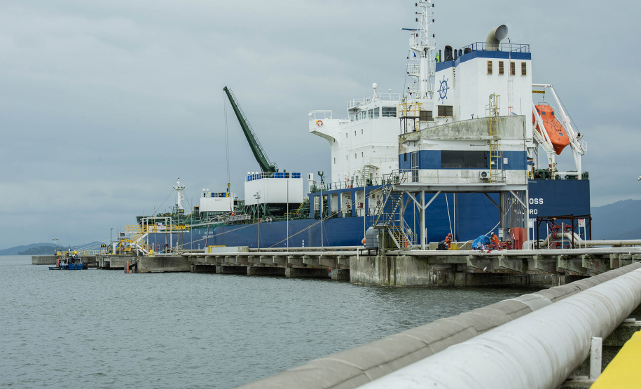 Segue crescente o volume de cargas movimentado pelos portos paranaenses em 2020. Comparando os meses de setembro, deste e do ano passado, o acréscimo registrado passa dos 28%.