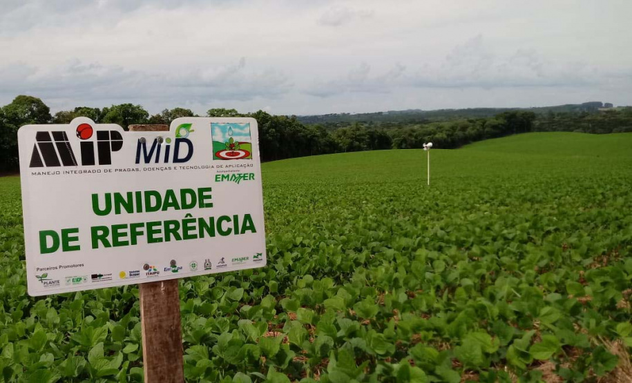 O Instituto de Desenvolvimento Rural do Paraná - Iapar-Emater (IDR-Paraná) inicia oficialmente nesta quinta-feira (15) o Alerta Ferrugem, serviço que monitora e informa sobre a ocorrência da ferrugem asiática em lavouras de soja nas regiões produtoras do Estado.Foto:SEAB