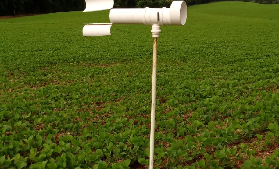 O Instituto de Desenvolvimento Rural do Paraná - Iapar-Emater (IDR-Paraná) inicia oficialmente nesta quinta-feira (15) o Alerta Ferrugem, serviço que monitora e informa sobre a ocorrência da ferrugem asiática em lavouras de soja nas regiões produtoras do Estado.Foto:SEAB