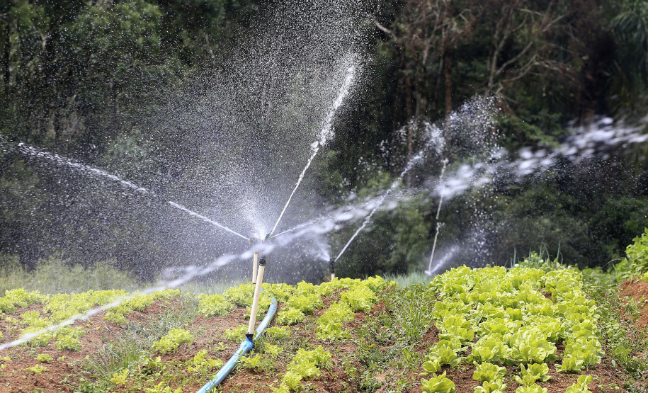 Foto: Arnaldo Alves/Arquivo AEN
