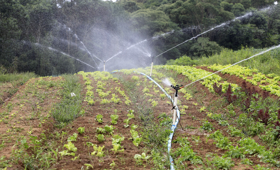 Foto: Arnaldo Alves/Arquivo AEN