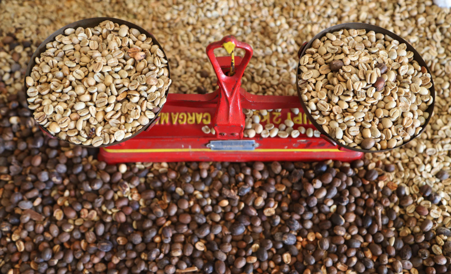 Governo apoia produção de cafés especiais no Norte Pioneiro. Foto: José Frnando Ogura/AEN