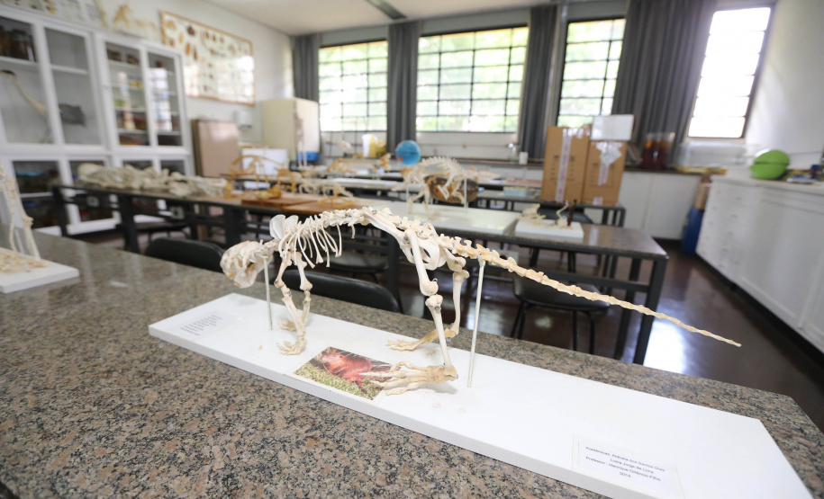 Curso Goioere A Universidade Estadual de Maringá (UEM) anunciou a implantação do novo curso de Física Médica, no Câmpus de Goioerê, com oferta 40 vagas, com duração de quatro anos.   15/10/2020 - Foto: Geraldo Bubniak/AEN