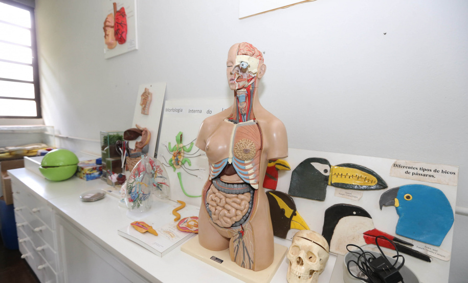 Curso Goioere A Universidade Estadual de Maringá (UEM) anunciou a implantação do novo curso de Física Médica, no Câmpus de Goioerê, com oferta 40 vagas, com duração de quatro anos.   15/10/2020 - Foto: Geraldo Bubniak/AEN