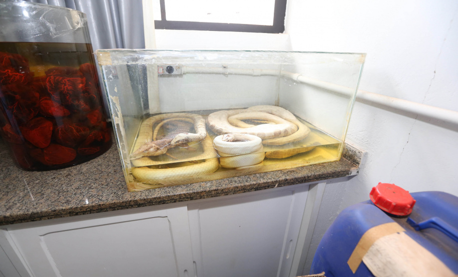 Curso Goioere A Universidade Estadual de Maringá (UEM) anunciou a implantação do novo curso de Física Médica, no Câmpus de Goioerê, com oferta 40 vagas, com duração de quatro anos.   15/10/2020 - Foto: Geraldo Bubniak/AEN