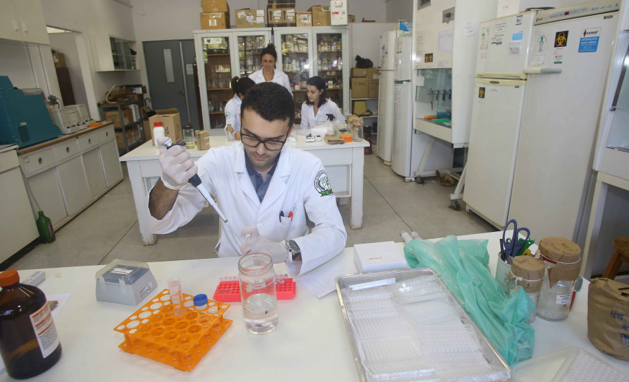 Universidades estaduais do Paraná conquistam nota máxima no Enade. Foto: Jaelson Lucas/Arquivo AEN