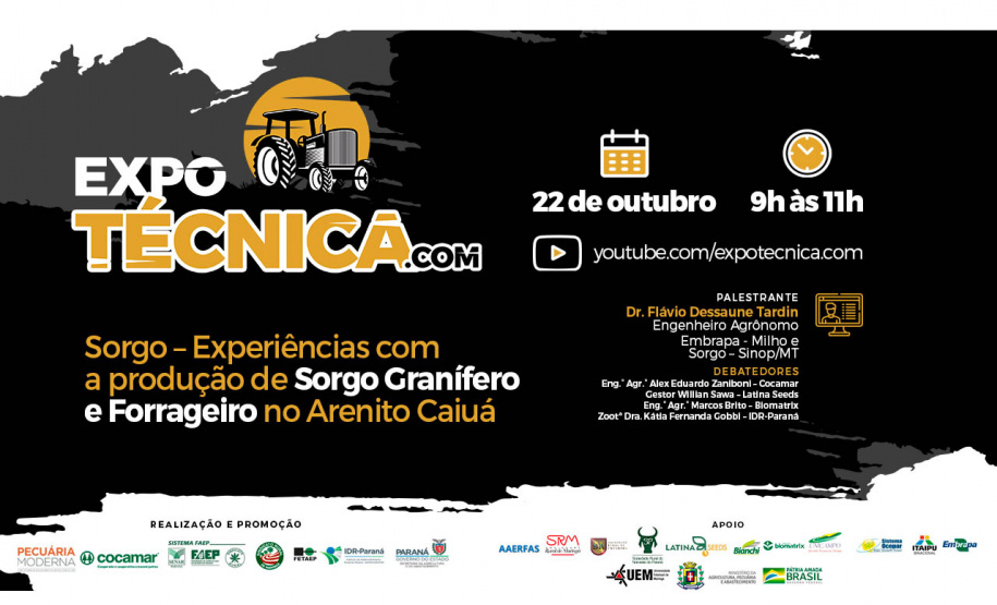 Cultivo do sorgo no Arenito Caiuá é tema de evento online