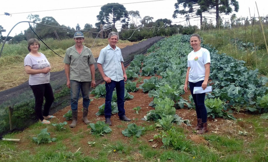 A produtora rural Juliana Mikolaiewski Dziurza, de 30 anos, decide junto com o marido o futuro da propriedade que sustenta a família, em Cruz Machado, no Sul do Paraná. Ela recebe assistência técnica do Instituto de Desenvolvimento Rural do Paraná – Iapar-Emater (IDR-Paraná) há pelo menos cinco anos. Os profissionais a ajudaram a investir na infraestrutura da propriedade e na diversificação da produção.Foto: SEAB
