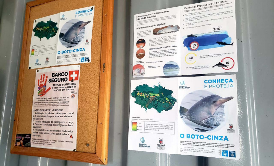 O cuidado com animais marinhos que vivem na área dos portos de Paranaguá e Antonina é o tema de uma nova campanha da Portos do Paraná. A empresa pública, em conjunto com a Cia Ambiental, desenvolveu uma cartilha para orientar embarcações sobre como agir ao encontrar grupos de botos-cinza durante a navegação.