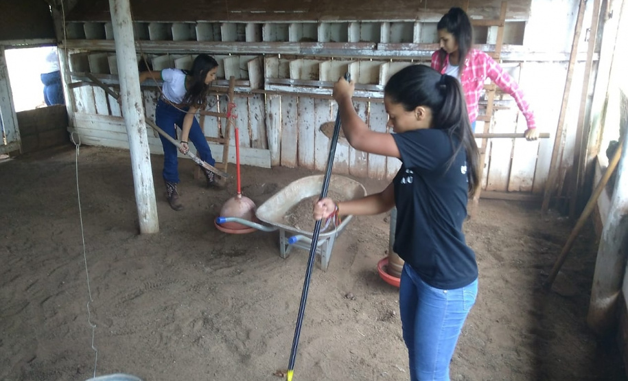 Projeto de reflorestamento com uso de foguetes é de três alunas do Colégio Agrícola de Palotina e está na final do prêmio Respostas para o Amanhã, da Samsung. É o único finalista da região Sul e competiu com 800 projetos de todo o país.

Foto: SEED