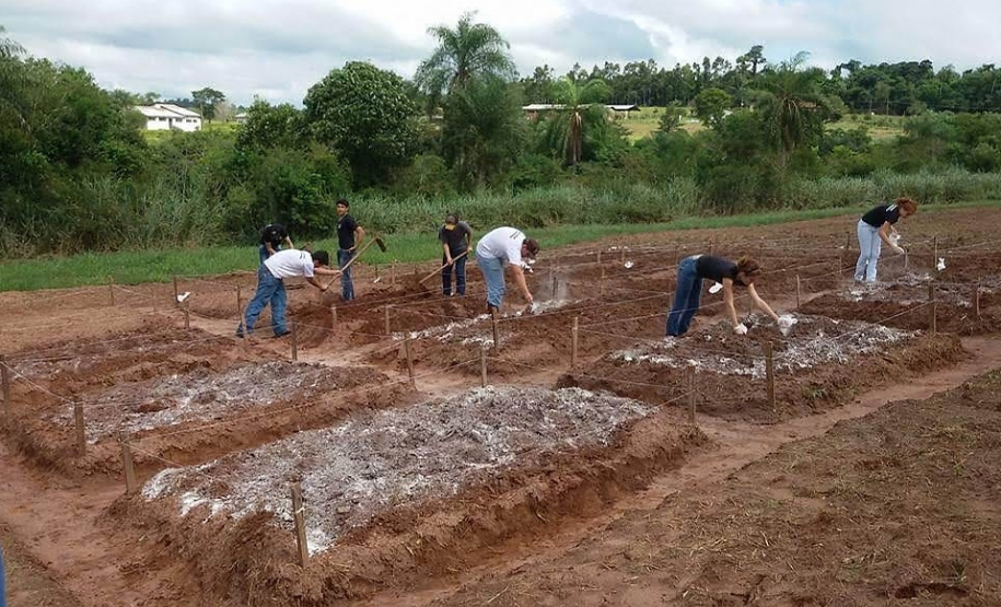 Projeto de reflorestamento com uso de foguetes é de três alunas do Colégio Agrícola de Palotina e está na final do prêmio Respostas para o Amanhã, da Samsung. É o único finalista da região Sul e competiu com 800 projetos de todo o país.

Foto: SEED