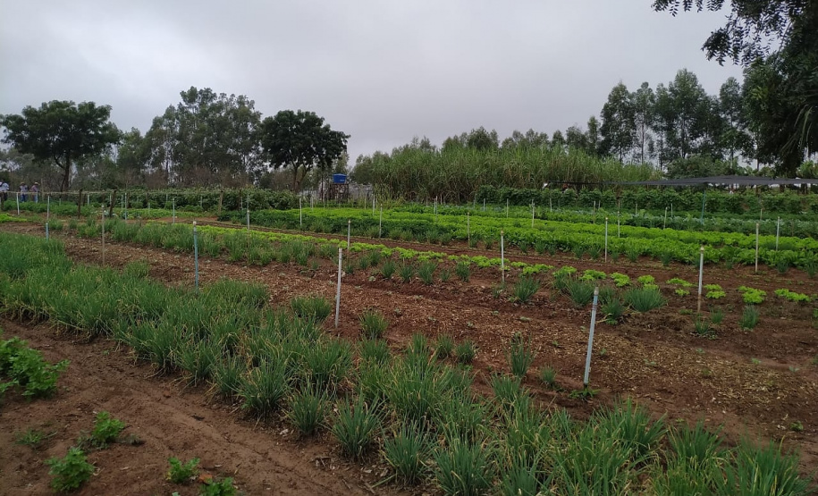Projeto de reflorestamento com uso de foguetes é de três alunas do Colégio Agrícola de Palotina e está na final do prêmio Respostas para o Amanhã, da Samsung. É o único finalista da região Sul e competiu com 800 projetos de todo o país.

Foto: SEED