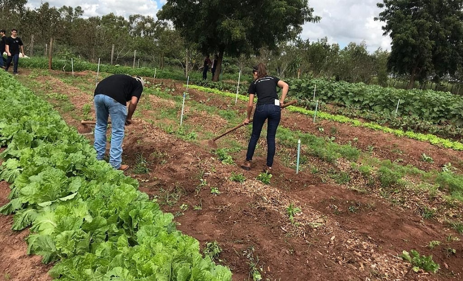 Projeto de reflorestamento com uso de foguetes é de três alunas do Colégio Agrícola de Palotina e está na final do prêmio Respostas para o Amanhã, da Samsung. É o único finalista da região Sul e competiu com 800 projetos de todo o país.

Foto: SEED