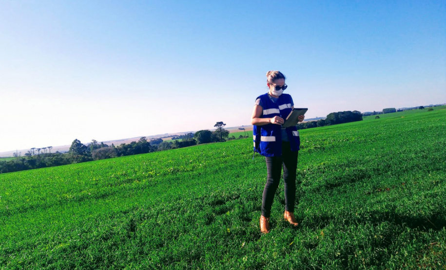 Adapar esclarece regras sobre o uso do Paraquat na safra 2020/21. Foto:SEAB