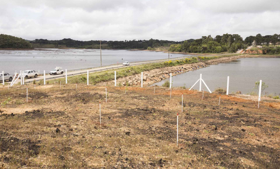 A Sanepar entregou nesta sexta-feira (23) a obra de revitalização da cabeceira da ponte da Estrada Nova Tirol, sobre a Barragem Piraquara II, no Município de Piraquara. A Companhia investiu R$ 1,1 milhão no terraceamento, cercamento, plantio de mudas e de grama, drenagem e colocação de terra e pedras, elevando a margem da barragem. O objetivo é corrigir a erosão e evitar o acesso de veículos e banhistas à área por questões de segurança.