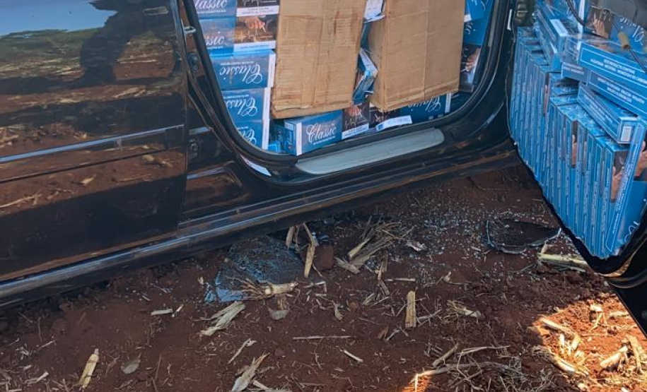 A terceira edição da Operação Metrópolis do 5º Comando Regional da PM (5º CRPM), no Oeste e Sudoeste do estado, terminou nesta quinta-feira (22/10) com 218 presos, 7,7 toneladas de maconha, 42 armas de fogo e R$ 129.120,00 apreendidos. Já o balanço total das três edições aponta um prejuízo de R$ 25 milhões ao crime organizado graças as apreensões de drogas, armas, veículos e contrabando.
 Foto:SESP