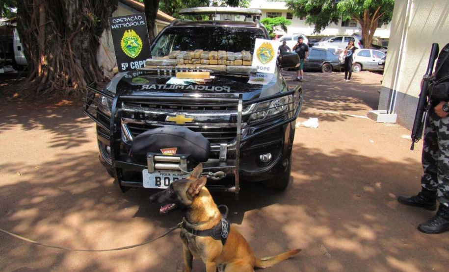 A terceira edição da Operação Metrópolis do 5º Comando Regional da PM (5º CRPM), no Oeste e Sudoeste do estado, terminou nesta quinta-feira (22/10) com 218 presos, 7,7 toneladas de maconha, 42 armas de fogo e R$ 129.120,00 apreendidos. Já o balanço total das três edições aponta um prejuízo de R$ 25 milhões ao crime organizado graças as apreensões de drogas, armas, veículos e contrabando.
 Foto:SESP