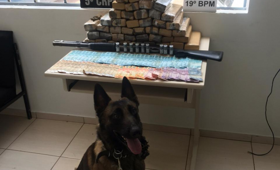 A terceira edição da Operação Metrópolis do 5º Comando Regional da PM (5º CRPM), no Oeste e Sudoeste do estado, terminou nesta quinta-feira (22/10) com 218 presos, 7,7 toneladas de maconha, 42 armas de fogo e R$ 129.120,00 apreendidos. Já o balanço total das três edições aponta um prejuízo de R$ 25 milhões ao crime organizado graças as apreensões de drogas, armas, veículos e contrabando.
 Foto:SESP