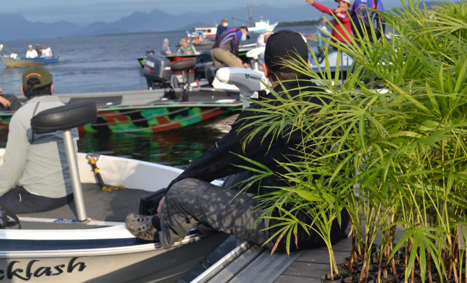 O Projeto Rio Vivo da Secretaria de Desenvolvimento Sustentável e do Turismo (Sedest) foi retomado no sábado (24), em Guaratuba, com o Festival Sul Brasileiro de Pesca. A iniciativa busca a preservação das bacias hidrográficas do Estado com o repovoamento de espécies de peixes nativos e o estímulo do turismo de atividades aquáticas.
Foto; Daniele Iachecen