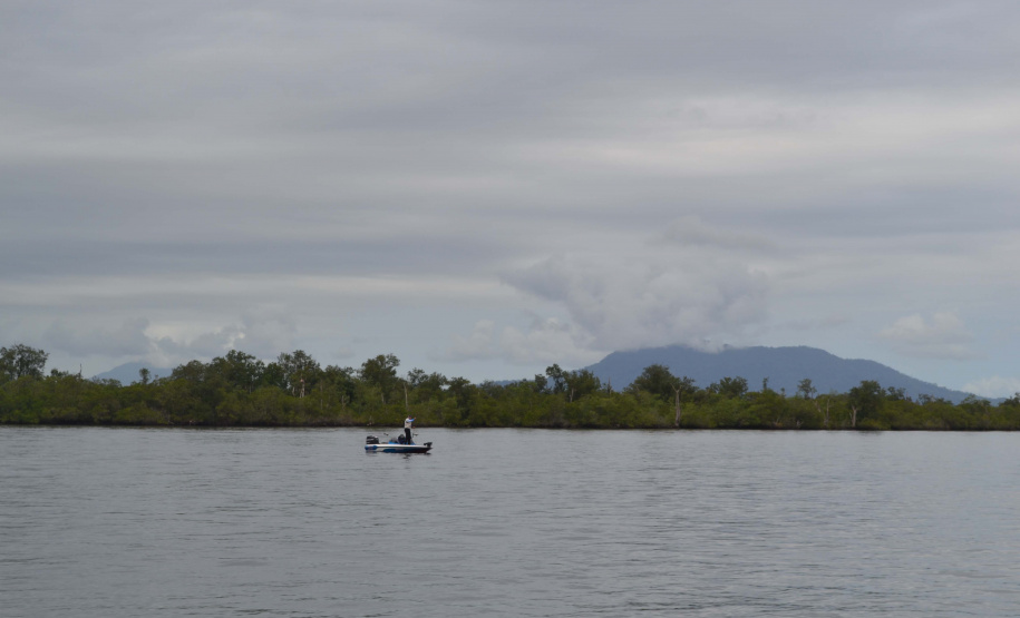 O Projeto Rio Vivo da Secretaria de Desenvolvimento Sustentável e do Turismo (Sedest) foi retomado no sábado (24), em Guaratuba, com o Festival Sul Brasileiro de Pesca. A iniciativa busca a preservação das bacias hidrográficas do Estado com o repovoamento de espécies de peixes nativos e o estímulo do turismo de atividades aquáticas.
Foto; Daniele Iachecen