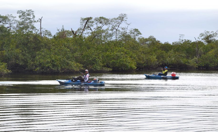 O Projeto Rio Vivo da Secretaria de Desenvolvimento Sustentável e do Turismo (Sedest) foi retomado no sábado (24), em Guaratuba, com o Festival Sul Brasileiro de Pesca. A iniciativa busca a preservação das bacias hidrográficas do Estado com o repovoamento de espécies de peixes nativos e o estímulo do turismo de atividades aquáticas.
Foto; Daniele Iachecen