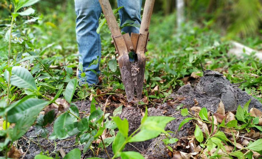 O Projeto Rio Vivo da Secretaria de Desenvolvimento Sustentável e do Turismo (Sedest) foi retomado no sábado (24), em Guaratuba, com o Festival Sul Brasileiro de Pesca. A iniciativa busca a preservação das bacias hidrográficas do Estado com o repovoamento de espécies de peixes nativos e o estímulo do turismo de atividades aquáticas.
Foto; Daniele Iachecen