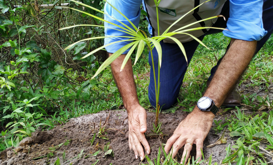 O Projeto Rio Vivo da Secretaria de Desenvolvimento Sustentável e do Turismo (Sedest) foi retomado no sábado (24), em Guaratuba, com o Festival Sul Brasileiro de Pesca. A iniciativa busca a preservação das bacias hidrográficas do Estado com o repovoamento de espécies de peixes nativos e o estímulo do turismo de atividades aquáticas.
Foto; Daniele Iachecen