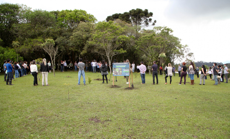 Governo do Estado faz plantio de mudas de araucária. Foto: Ari Dias/AEN