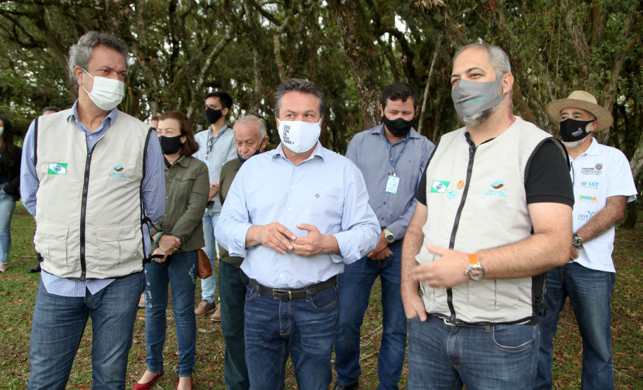 Governo do Estado faz plantio de mudas de araucária. Foto: Ari Dias/AEN