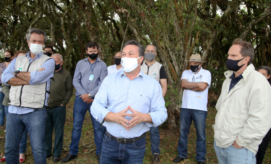 Governo do Estado faz plantio de mudas de araucária. Foto: Ari Dias/AEN
