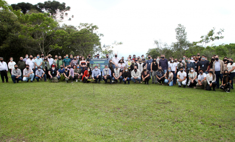 Governo do Estado faz plantio de mudas de araucária. Foto: Ari Dias/AEN